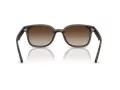 Ray-Ban Ochelari de Soare RB 4461D 710/13 64