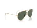 Ray-Ban Aviator Reverse Ochelari de Soare RB 0RBR0101S 001/VR 59