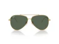 Ray-Ban Aviator Reverse Ochelari de Soare RB 0RBR0101S 001/VR 62
