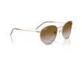 Ray-Ban Round Reverse Ochelari de Soare RB R0103S 001/CB 53