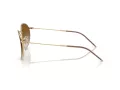 Ray-Ban Round Reverse Ochelari de Soare RB R0103S 001/CB 55
