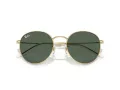 Ray-Ban Round Reverse Ochelari de Soare RB R0103S 001/VR 53