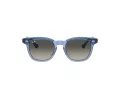 Ray-Ban Ochelari de Soare RJ 9098S 715911