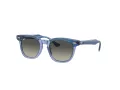 Ray-Ban Ochelari de Soare RJ 9098S 715911