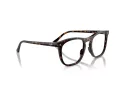 Ray-Ban Ochelari de Vedere RX 2210V 2012 53