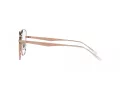 Ray-Ban Ochelari de Vedere RX 6503D 3094