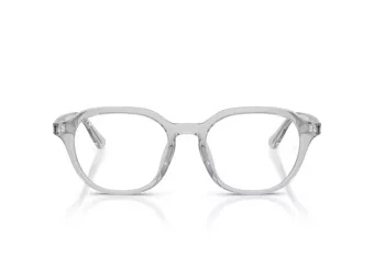 Ray-Ban Ochelari de Vedere RX 7259D 8411 52