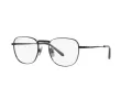 Ray-Ban Frank Titanium Ochelari de Vedere RX 8258V 1237 51