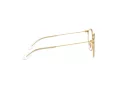 Ray-Ban Ochelari de Vedere RY 1053 4078 45