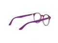 Ray-Ban Ochelari de Vedere RY 1594 3813 44