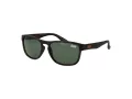 Superdry Ochelari de Soare SDS Rockstar 122 54