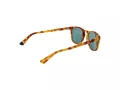 Superdry Ochelari de Soare SDS Roku 170 48