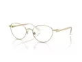 Swarovski Ochelari de Vedere SK 1002 4004
