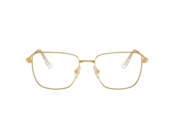 Swarovski Ochelari de Vedere SK 1003 4004 55
