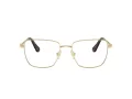 Swarovski Ochelari de Vedere SK 1003 4013 55