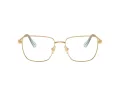 Swarovski Ochelari de Vedere SK 1003 4021 53