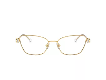 Swarovski Ochelari de Vedere SK 1006 4013 55