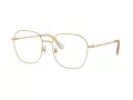 Swarovski Ochelari de Vedere SK 1009D 4013