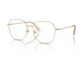 Swarovski Ochelari de Vedere SK 1009D 4013