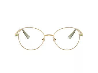 Swarovski Ochelari de Vedere SK 1013 4017 52