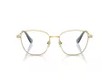 Swarovski Ochelari de Vedere SK 1019 4021 54