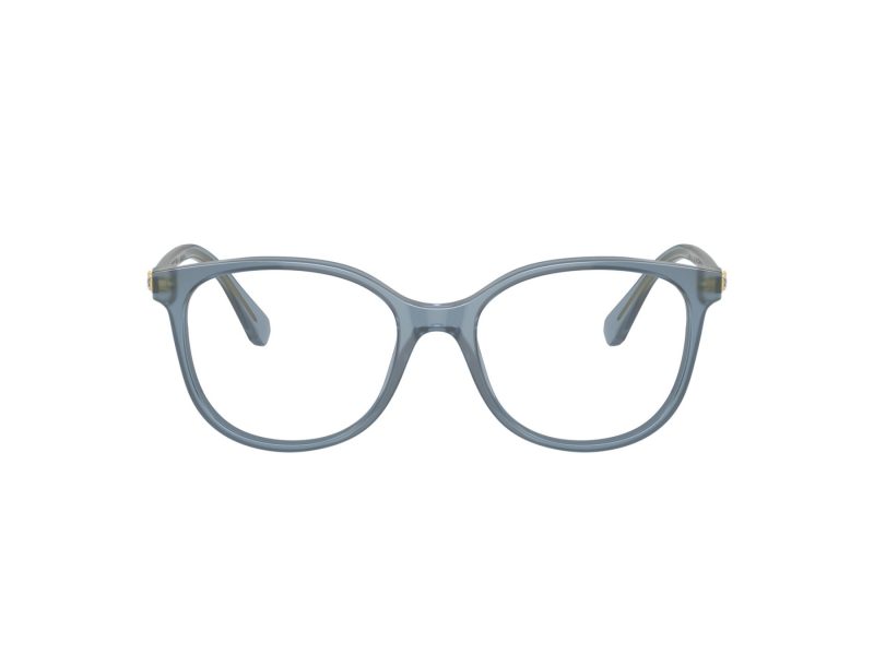 Swarovski Ochelari de Vedere SK 2002 1035