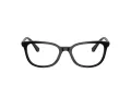 Swarovski Ochelari de Vedere SK 2003 1001 52
