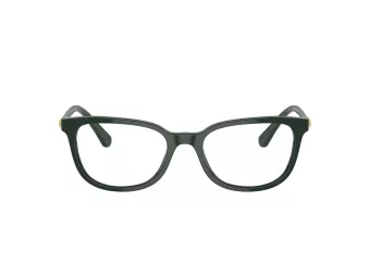 Swarovski Ochelari de Vedere SK 2003 1026 50