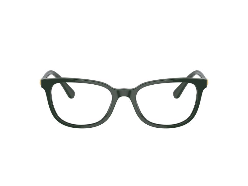 Swarovski Ochelari de Vedere SK 2003 1026