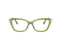 Swarovski Ochelari de Vedere SK 2011 3002 55