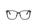 Swarovski Ochelari de Vedere SK 2016D 1001 54