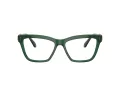Swarovski Ochelari de Vedere SK 2021 1045 55