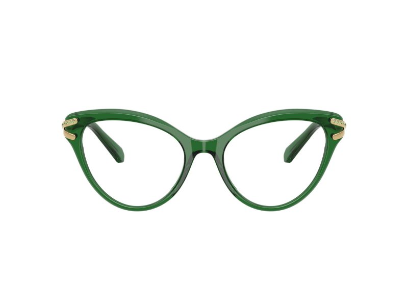 Swarovski Ochelari de Vedere SK 2030 1064