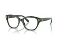 Swarovski Ochelari de Vedere SK 2038 1026 53