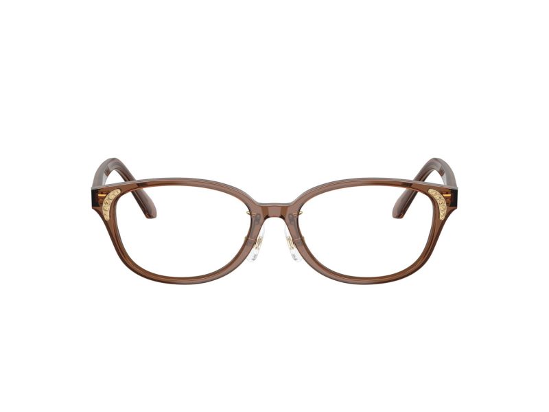 Swarovski Ochelari de Vedere SK 2040D 1067