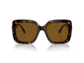 Swarovski Ochelari de Soare SK 6001 100283