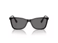 Swarovski Ochelari de Soare SK 6004 100181 55