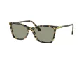 Swarovski Ochelari de Soare SK 6004 1009/2 55