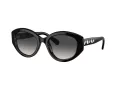 Swarovski Ochelari de Soare SK 6005 10018G 53