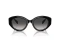 Swarovski Ochelari de Soare SK 6005 10018G 53