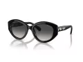 Swarovski Ochelari de Soare SK 6005 10018G 53