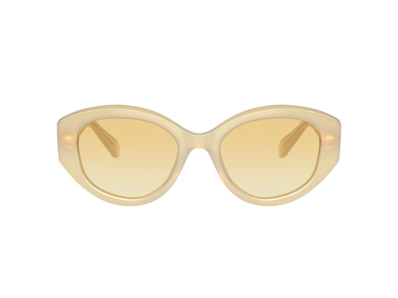 Swarovski Ochelari de Soare SK 6005 10232Q