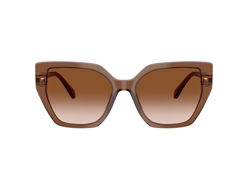 Swarovski Ochelari de Soare SK 6016 106713