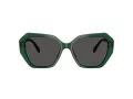 Swarovski Ochelari de Soare SK 6017 104587