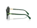 Swarovski Ochelari de Soare SK 6017 104587