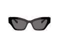 Swarovski Ochelari de Soare SK 6021 100181