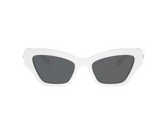 Swarovski Ochelari de Soare SK 6021 105087