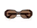 Swarovski Ochelari de Soare SK 6028 100273