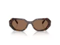 Swarovski Ochelari de Soare SK 6028 100273