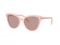 Swarovski Ochelari de Soare SK 6031 10317N